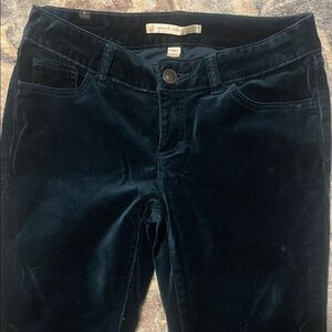 LC Lauren Conrad Dark Velvet Cropped Pants